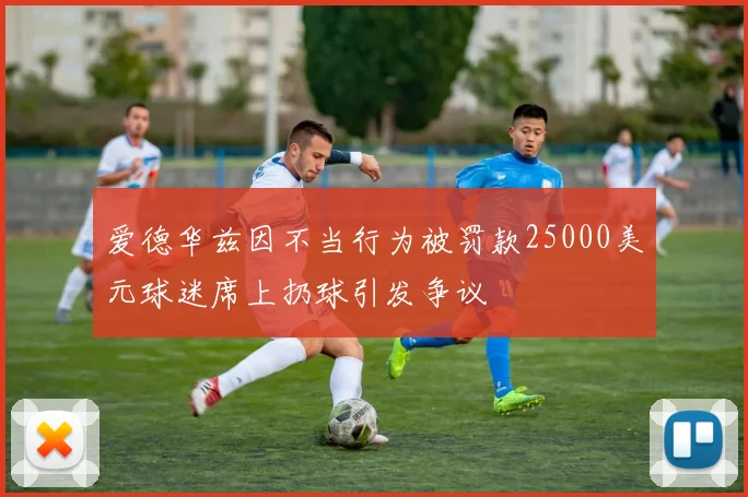 爱德华兹因不当行为被罚款25000美元球迷席上扔球引发争议