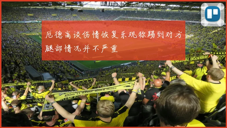 厄德高谈伤情恢复乐观称踢到对方腿部情况并不严重